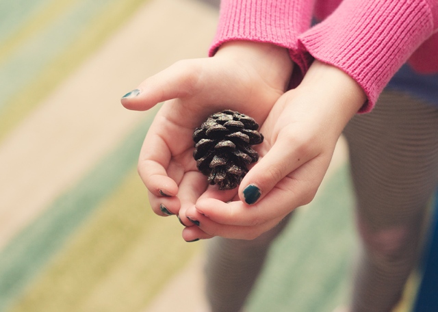 pine-cone-gift