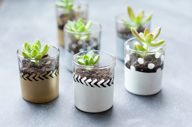 mini-succulent-planters