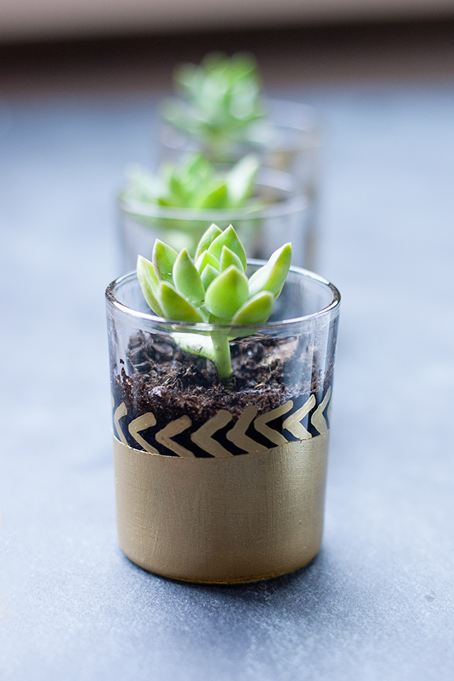painted-mini-succulent-planter